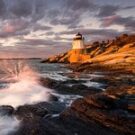 Safari48324765885 Avatar